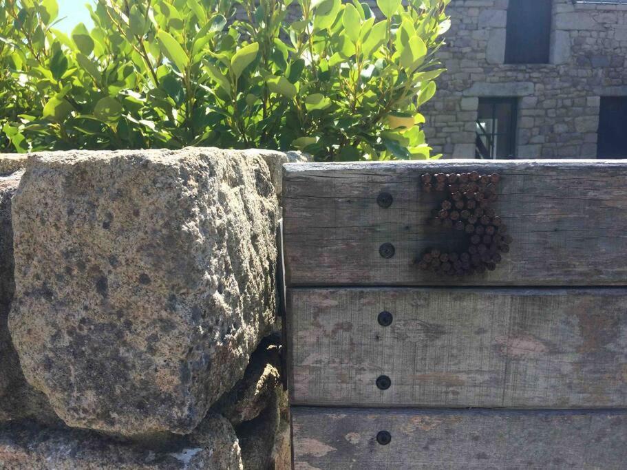 Ballade A Pied De La Ria - Nice Walk From The Door Belz Exterior foto